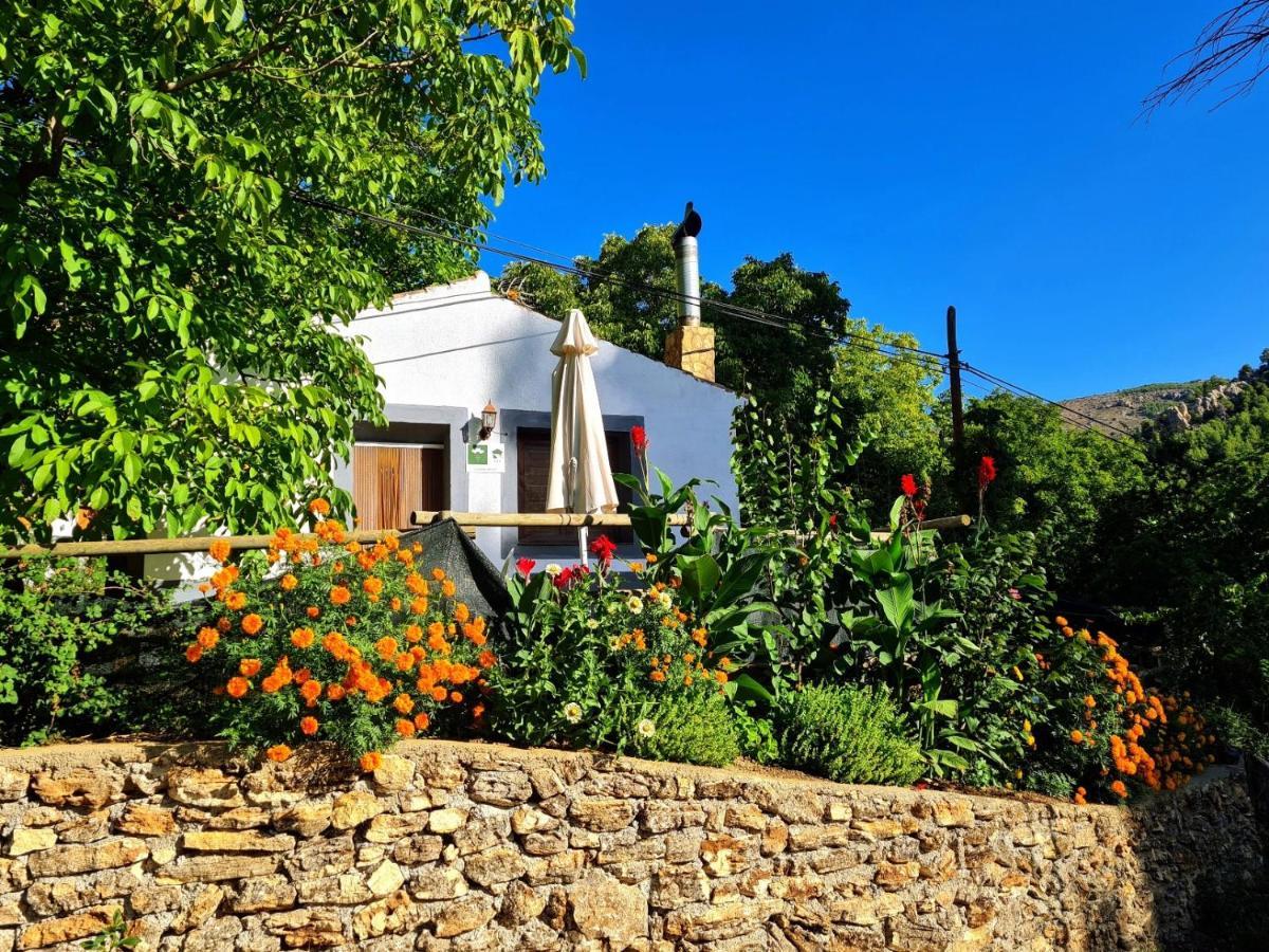 Casas Rurales Los Enebros Nerpio Extérieur photo