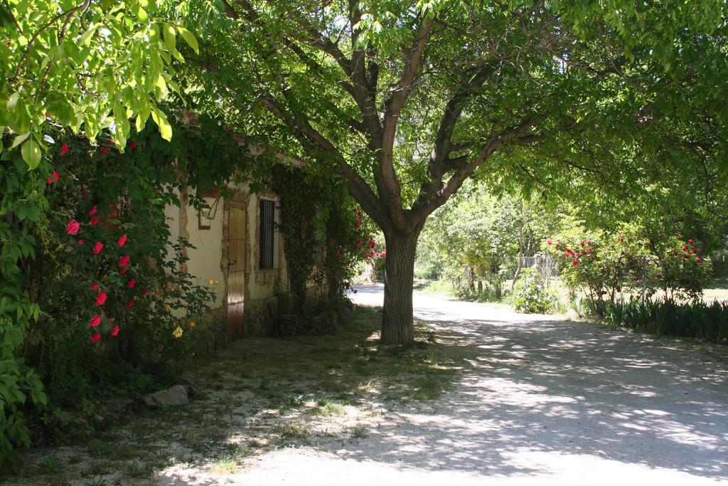 Casas Rurales Los Enebros Nerpio Extérieur photo