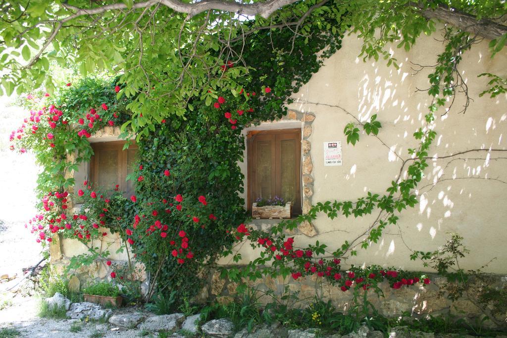 Casas Rurales Los Enebros Nerpio Extérieur photo