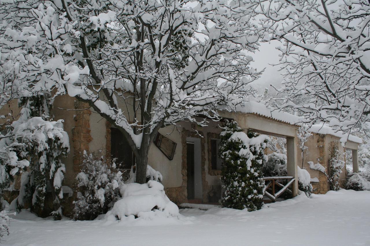 Casas Rurales Los Enebros Nerpio Extérieur photo